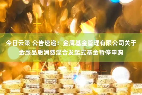 今日云策 公告速递：金鹰基金管理有限公司关于金鹰品质消费混合发起式基金暂停申购