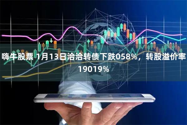 嗨牛股票 1月13日洽洽转债下跌058%，转股溢价率19019%