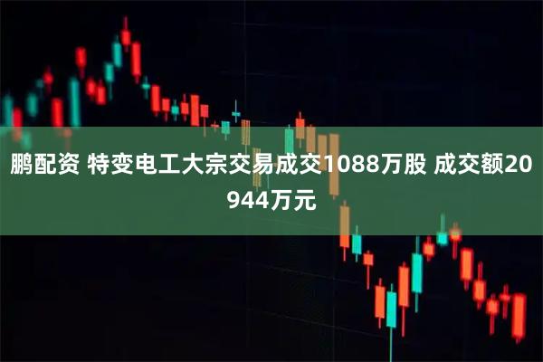 鹏配资 特变电工大宗交易成交1088万股 成交额20944万元